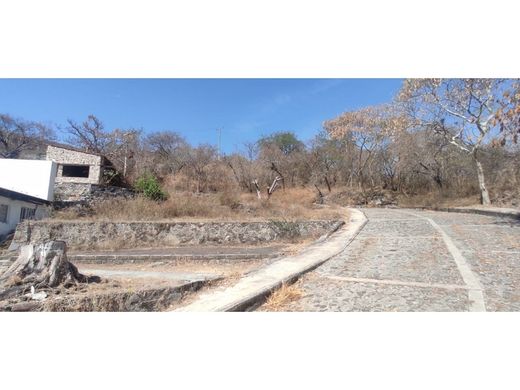 토지 / Xochitepec, Estado de Morelos