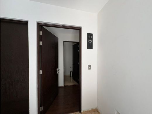 Apartment in Mexico City, The Federal District