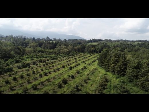 Terreno en Valle de Bravo, Estado de México