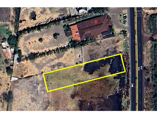 Grundstück in Sahuayo de Morelos, Sahuayo