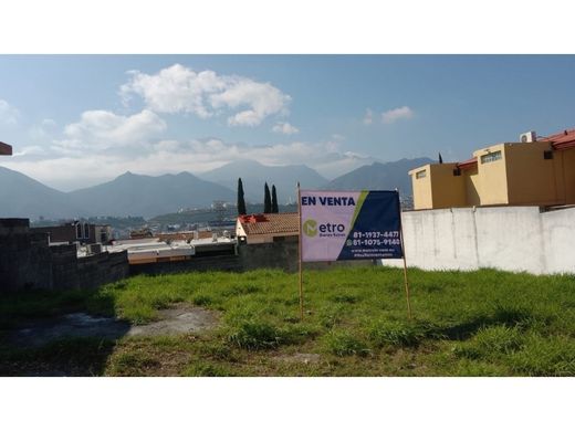 Arsa Guadalupe, Estado de Nuevo León