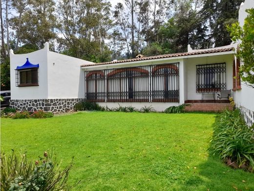 Country House in Tlalpan, The Federal District