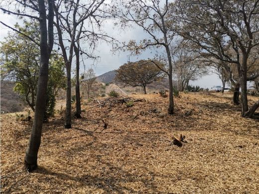 Участок, Jilotzingo, Hueypoxtla