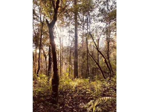 أرض ﻓﻲ Valle de Bravo, Estado de México