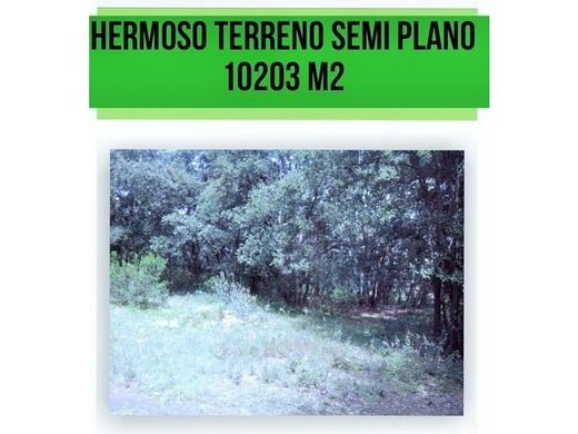 Land in Jilotzingo, Hueypoxtla