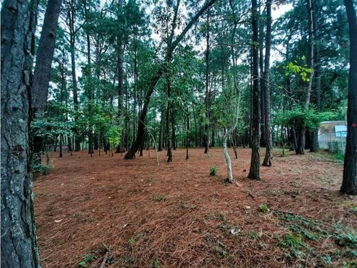 Αγροτεμάχιο σε Valle de Bravo, Estado de México