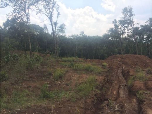 Land in Jilotzingo, Hueypoxtla