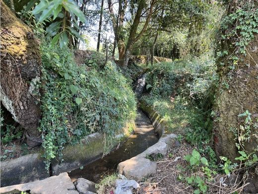 Terreno a Valle de Bravo, Messico (stato federato)