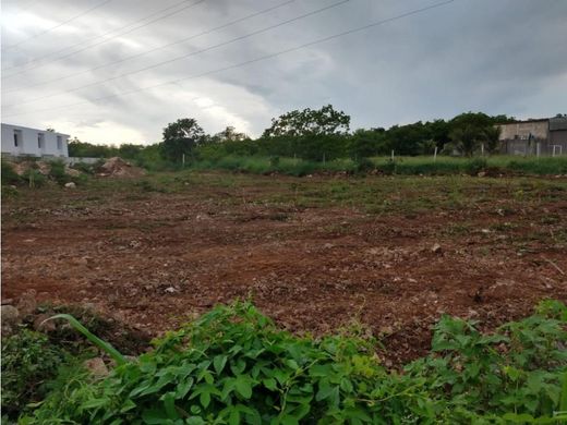 Αγροτεμάχιο σε Mérida, Estado de Yucatán