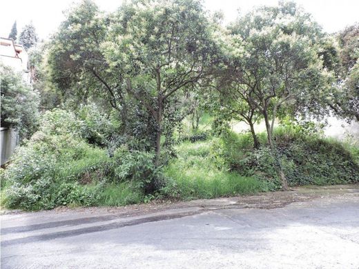 Grond in Miguel Hidalgo, Ciudad de México