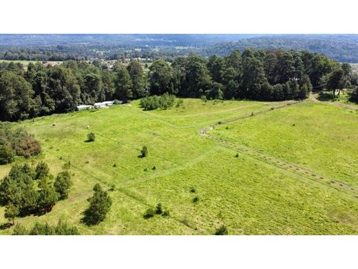 Αγροτεμάχιο σε Valle de Bravo, Estado de México