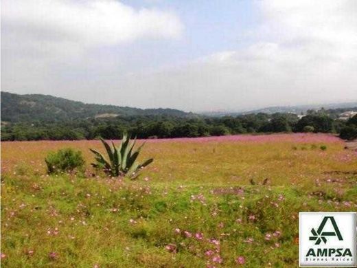 Участок, Hueypoxtla, Estado de México