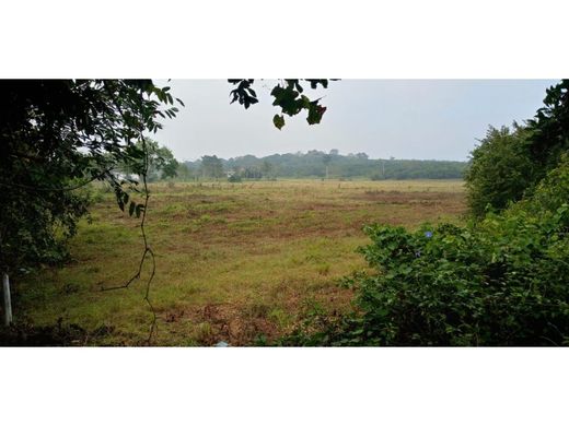 Terrain à Tuxpan, Michoacán