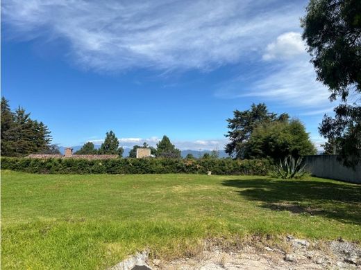 Элитный дом, Валье-де-Браво, Valle de Bravo