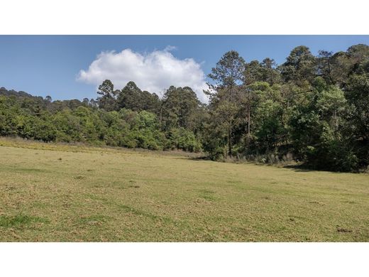Terreno a Valle de Bravo, Messico (stato federato)