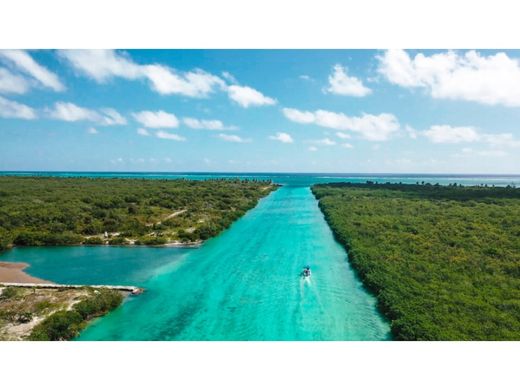 Αγροτεμάχιο σε Xcalak, Othón P. Blanco