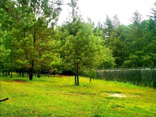 Αγροτεμάχιο σε Valle de Bravo, Estado de México