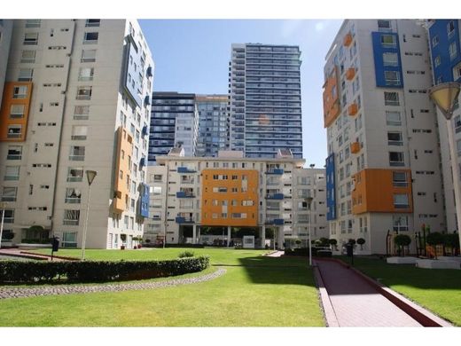 Apartament w Miguel Hidalgo, Ciudad de México