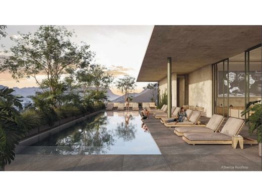 Daire Monterrey, Estado de Nuevo León