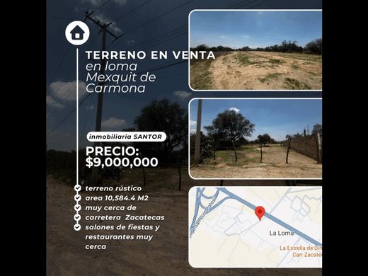 Terreno en Mexquitic de Carmona, Estado de San Luis Potosí