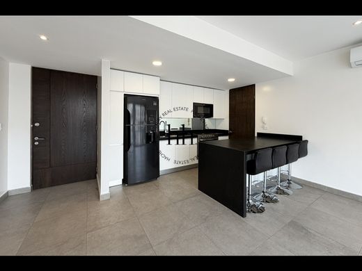 Daire Santa Catarina, Estado de Nuevo León