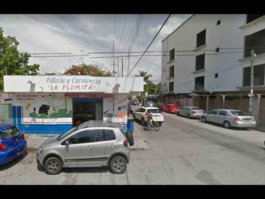Arsa Playa del Carmen, Solidaridad