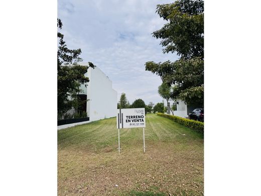 Land for sale in Zamora