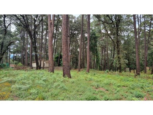 토지 / Valle de Bravo, Estado de México