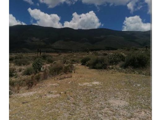 地皮  Arteaga, 科阿韋拉州