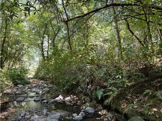Terreno a Valle de Bravo, Messico (stato federato)