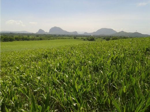 Land in Jonacatepec, Morelos