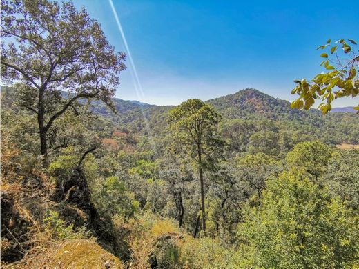 Αγροτεμάχιο σε Valle de Bravo, Estado de México