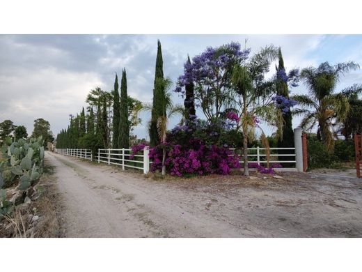 Boerderij in Ajuchitlancito, Pedro Escobedo