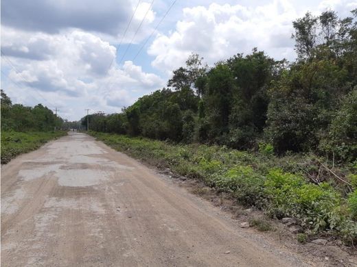 Arsa Cancún, Benito Juárez