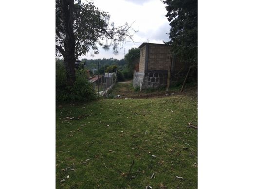 Terrain à Jilotzingo, Hueypoxtla