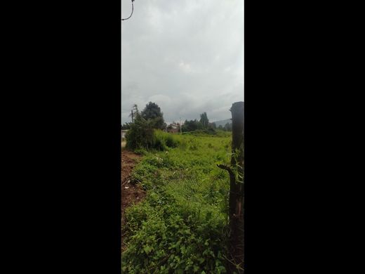 토지 / Valle de Bravo, Estado de México