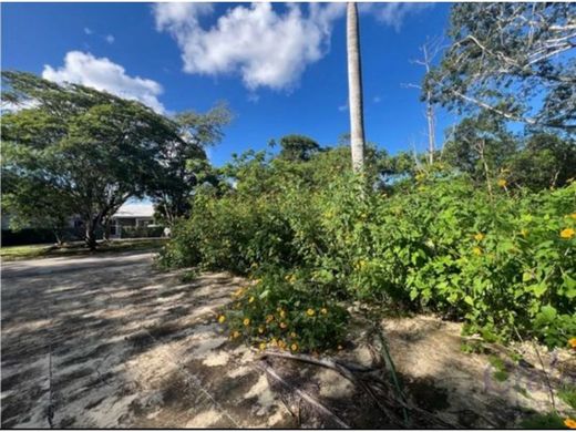 أرض ﻓﻲ Mérida, Estado de Yucatán