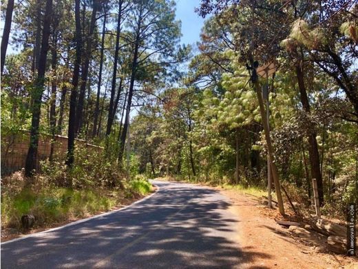 Αγροτεμάχιο σε Valle de Bravo, Estado de México