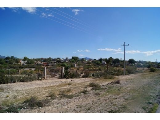 Land for sale in Saltillo