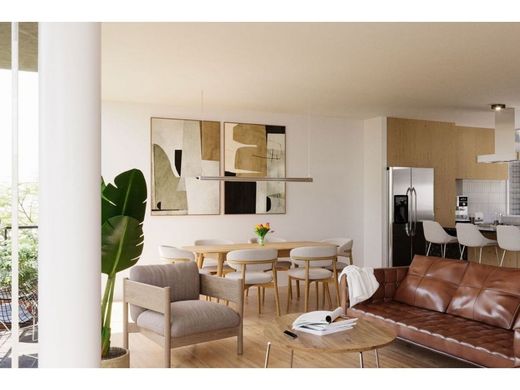 Penthouse in Colonia Benito Juárez, Villa de Tezontepec