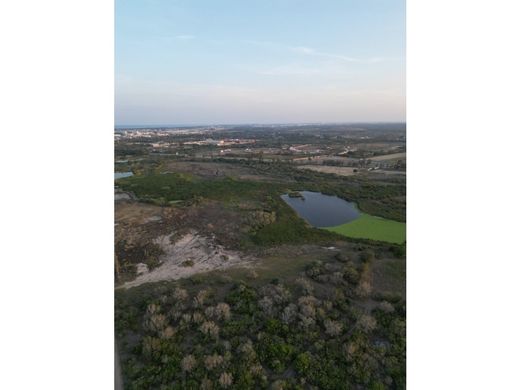 Arsa Altamira, Estado de Tamaulipas