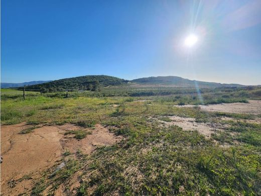 Ferme à Ensenada, Basse-Californie du Nord