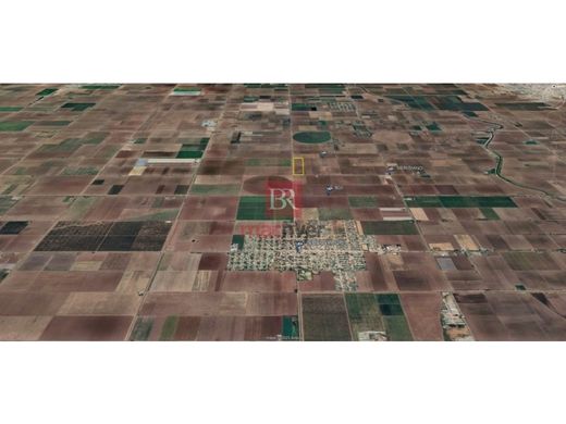 Αγροτεμάχιο σε Ciudad Obregón, Cajeme