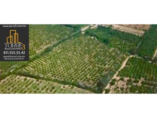 Αγροτεμάχιο σε Monterrey, Estado de Nuevo León