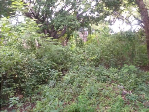 Arsa Cuernavaca, Estado de Morelos