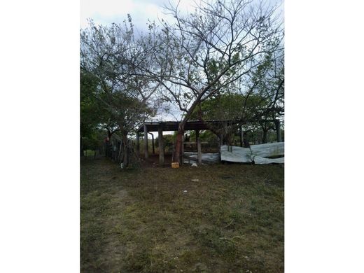 Rustykalny lub Wiejski w Villa Azueta, José Azueta