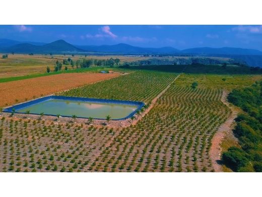 Rustico o casale a Pilcaya, Guerrero