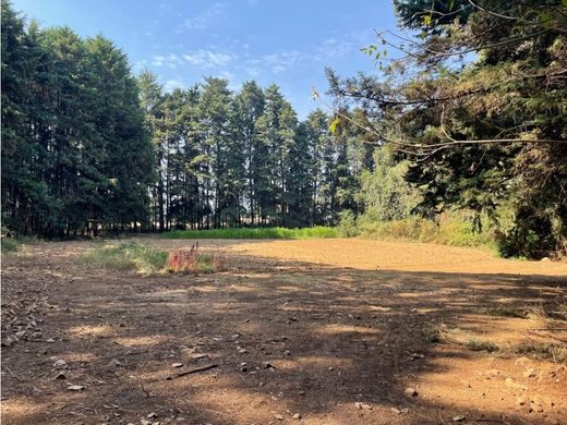 토지 / Valle de Bravo, Estado de México