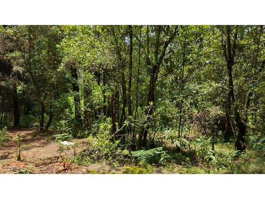 Terreno a Valle de Bravo, Messico (stato federato)