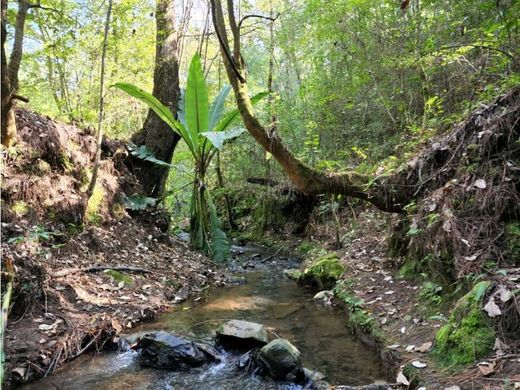 Αγροτεμάχιο σε Valle de Bravo, Estado de México